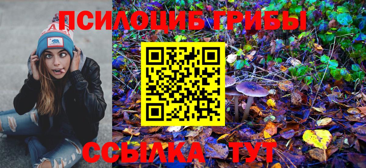Псилоцибиновые грибы GOLDEN TEACHER Вязники