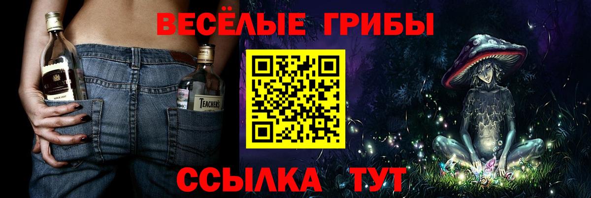 Вязники  Галлюциногенные грибы мухоморы  Вход с VPN  Псилоцибиновые грибы прущие грибы 